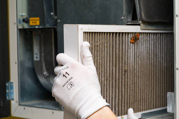 Best Air Duct Mold Removal  in Flower Hill, MD